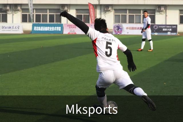 Mksports公司简介展示图